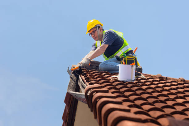  , USA Roofing Pros